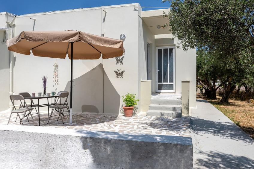 in einem Olivenhain in Strandnähe - foto 22