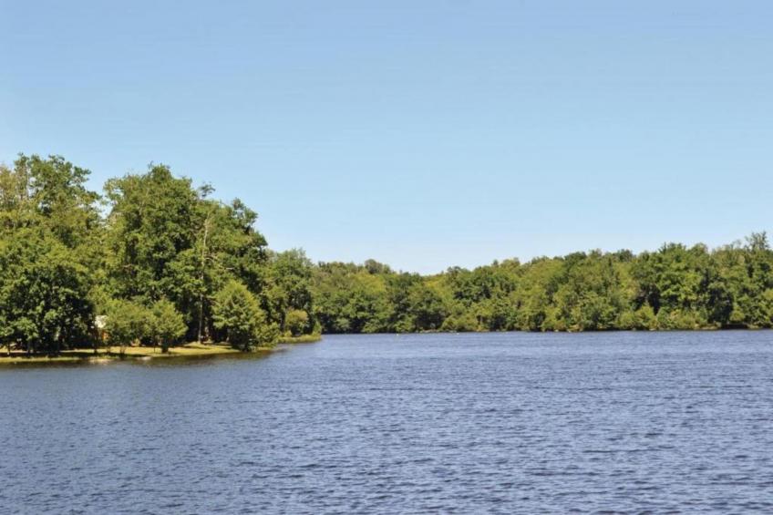 Le petit Nichoir - foto 27