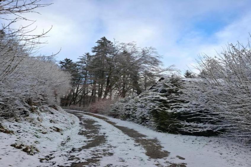 Feriendorf Reinskopf - foto 39