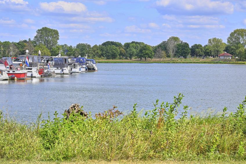 Rose Garden - foto 60