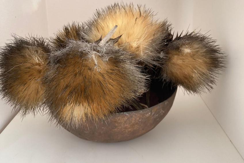 Komfortable geräumige Wohnung mit bester Aussicht 5p max - foto 12