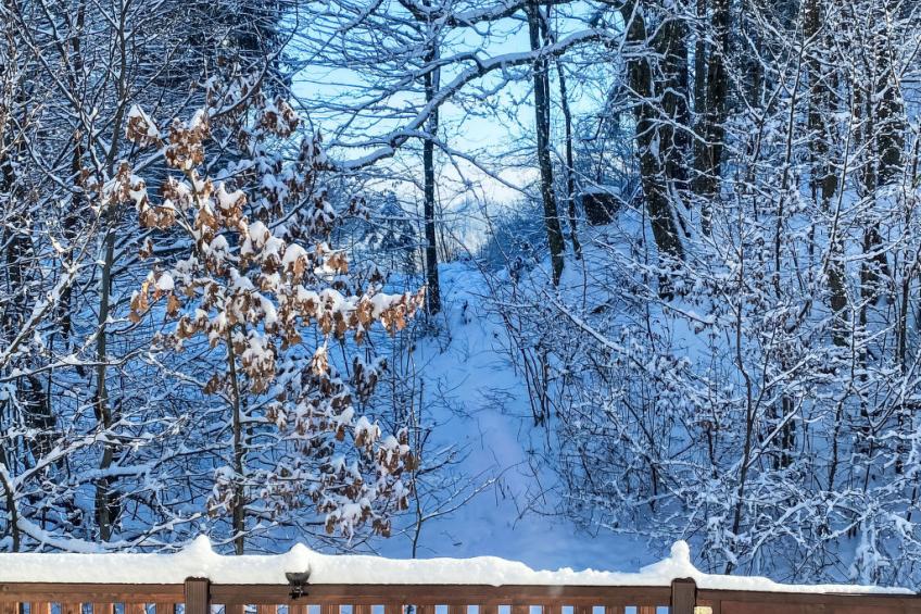 Apartamento Giovanna - foto 34