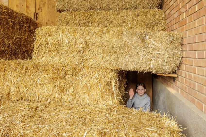 Uelis-Stoeckli - foto 10