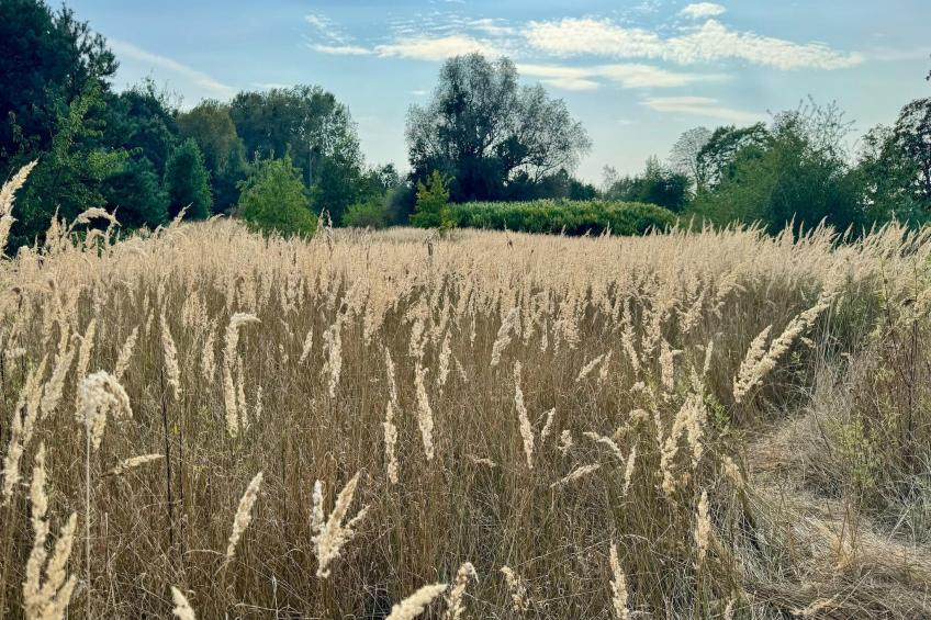 Vakantieresort Van der Valk, Linstow - Type C - foto 23