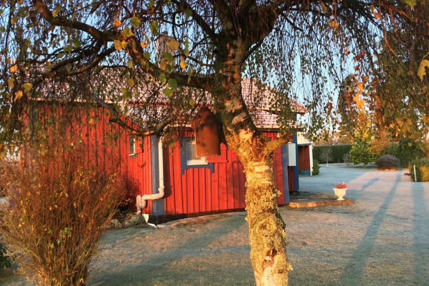 Blombacker - foto 37