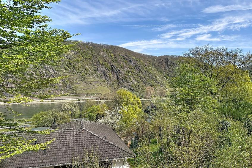 Villa 111 an der Loreley - foto 56