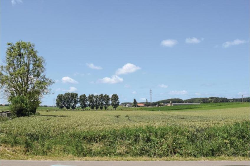 Hommelhove - foto 39