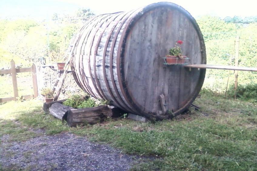 Gemütliches Appartement in Castiglione Di Sicilia mit Privatem Pool - foto 3