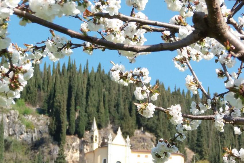 Anwesen mit Garten, Grill und Terrasse - foto 20