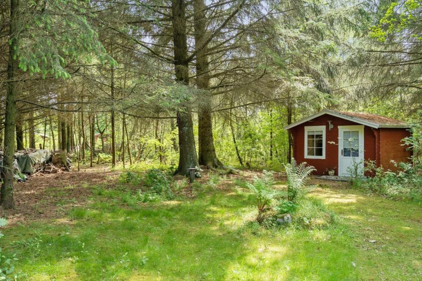 "Deik" - 2km to the inlet in The Liim Fiord - foto 5