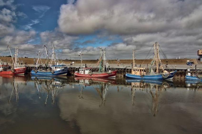 Haus Hanni - foto 37