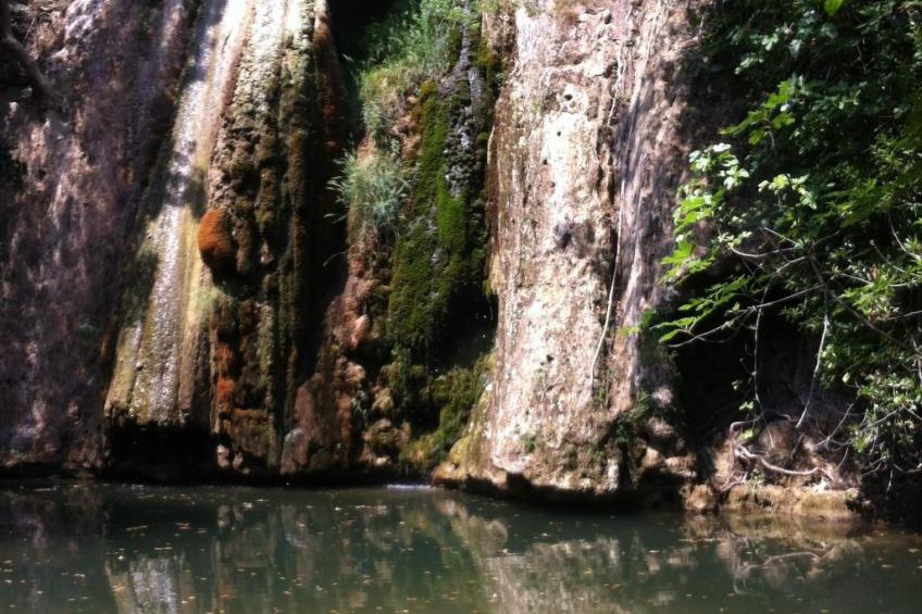 Le mas de l'Aven Unterkunft le mûrier - foto 43