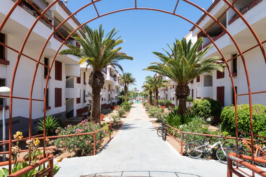 Altemar H3 - foto 22