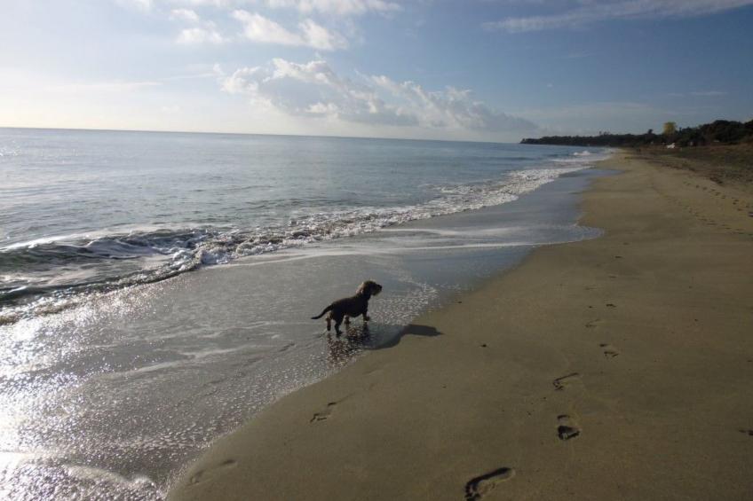 Villa Miramonte - foto 40