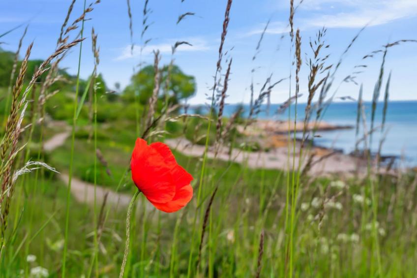 "Yosefin" - 50m from the sea - foto 8