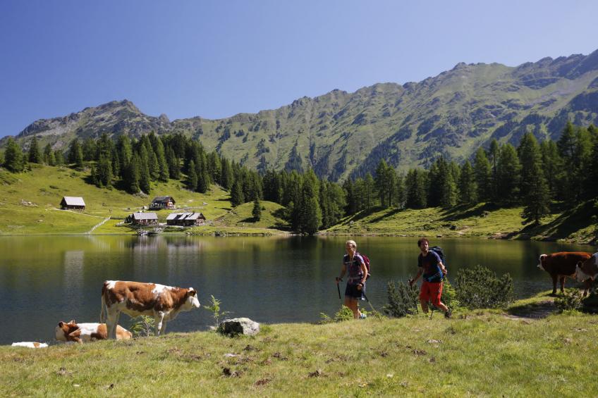 Alpenrock Schladming - foto 7