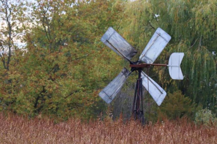 Aan de dwarsgracht - foto 32