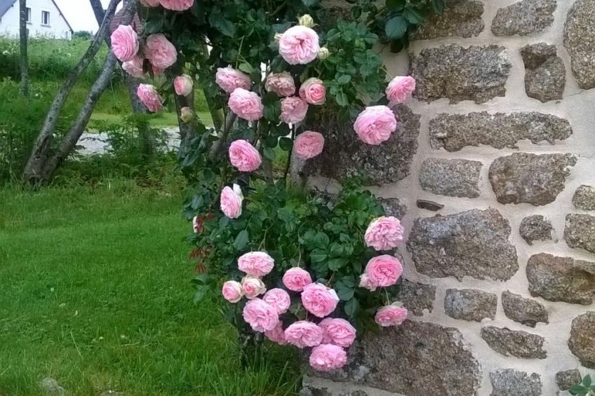 Finca "Motje" mit Aussicht - foto 17