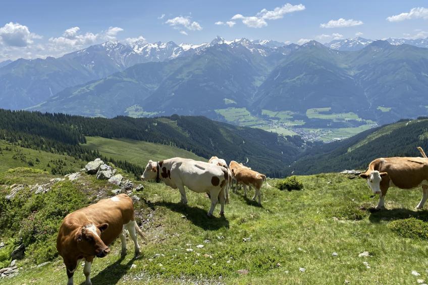 Green Garden Lodge A2 Walchen-Kaprun - foto 36