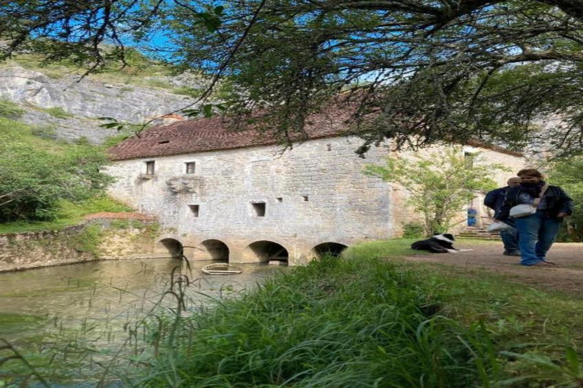 The Studio - foto 38