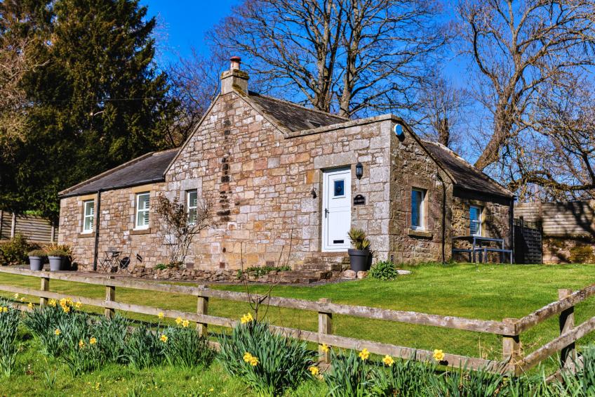 The Old School - foto 2