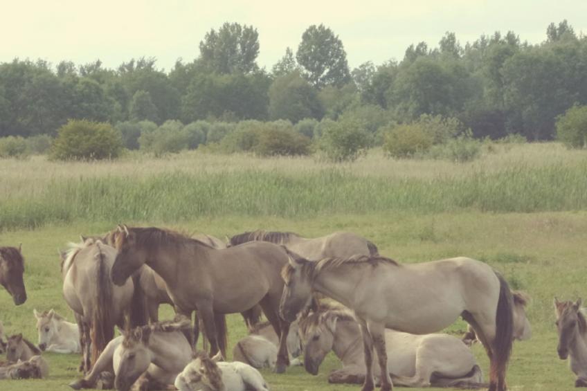 163 Natascha - foto 27