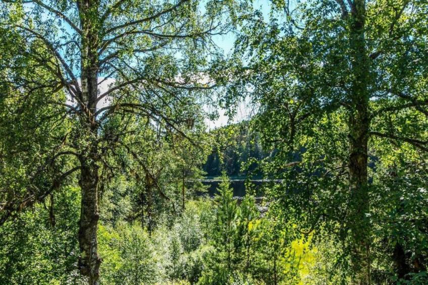 Abbas Stugby 14 - foto 28