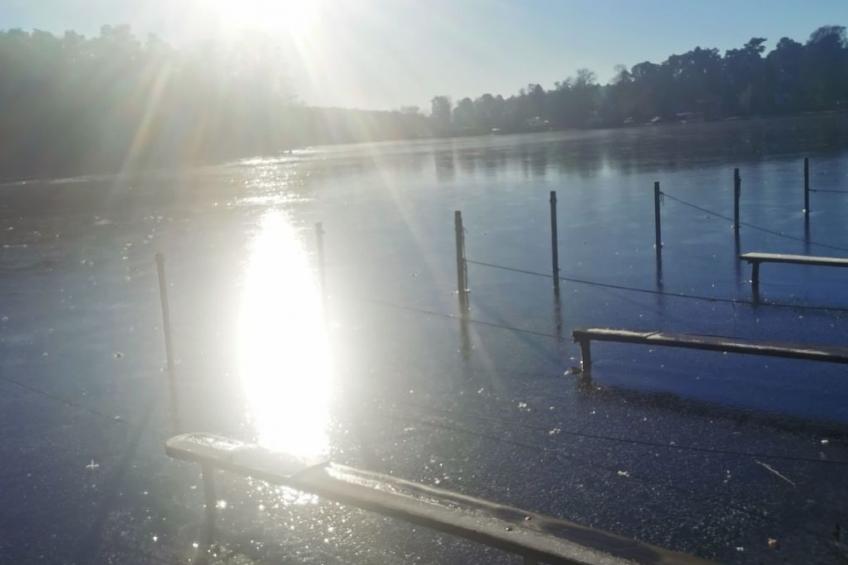 in Müggelheim mit eigener Terrasse - foto 17