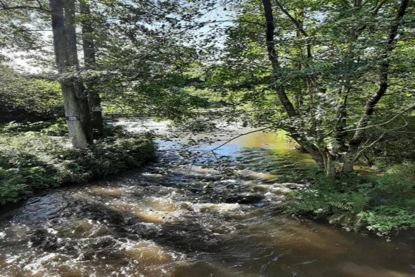 Li Vêrt Veschau - foto 38