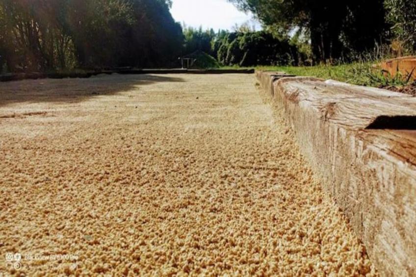 Le Mas du Goïo - foto 39