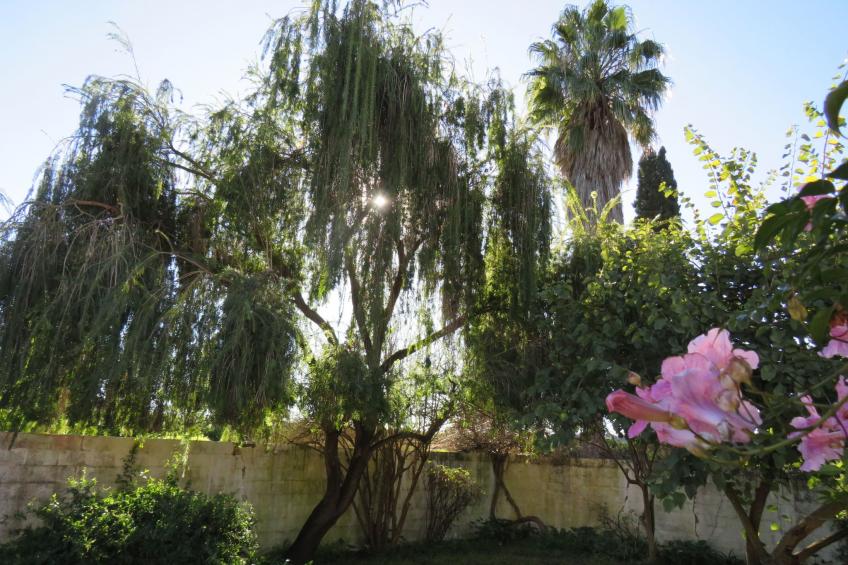 Appartement in San Pablo De Buceite mit Kleinem Garten - foto 26