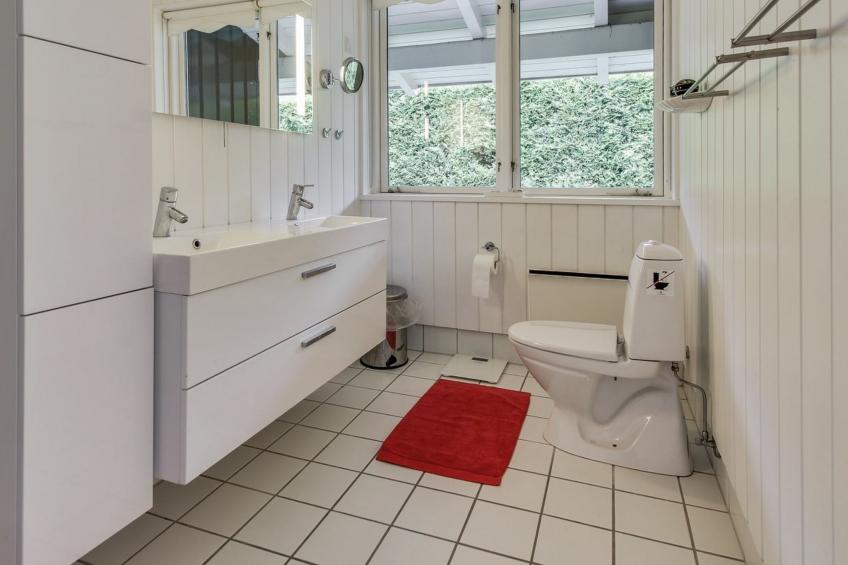 "Cedomir" - 625m from the sea in Sealand - foto 7