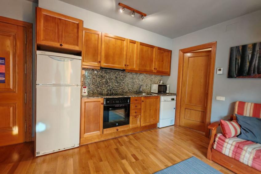 Wohnung Erta 1 8km vom Skigebiet Vall de Boí - foto 14