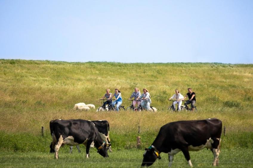 Fewo bis 6 Personen mit Alkoven / Belegung 5 Personen - foto 40