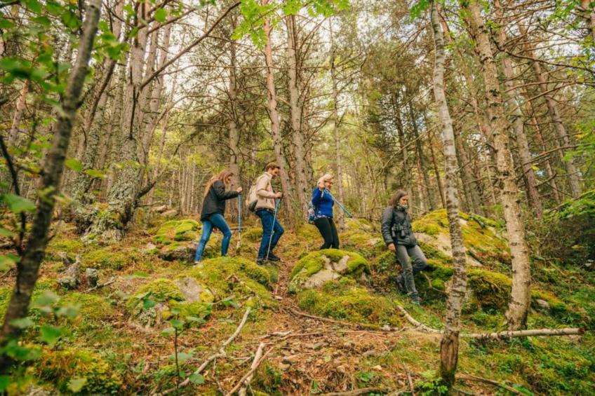 Cobert d'en Piarró - foto 37