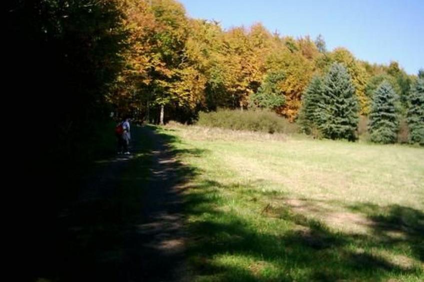 FEWO Juliana - foto 10