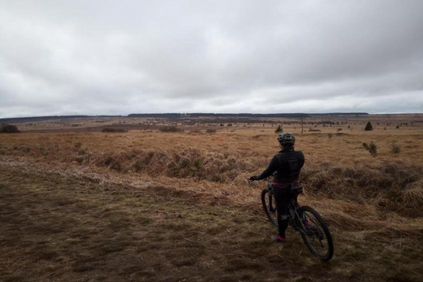 Villa Balmoral - foto 29