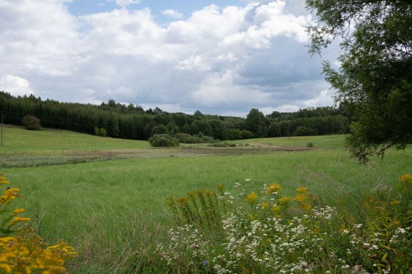 Vogelecke - abseits des Trubels und der Hektik - foto 16