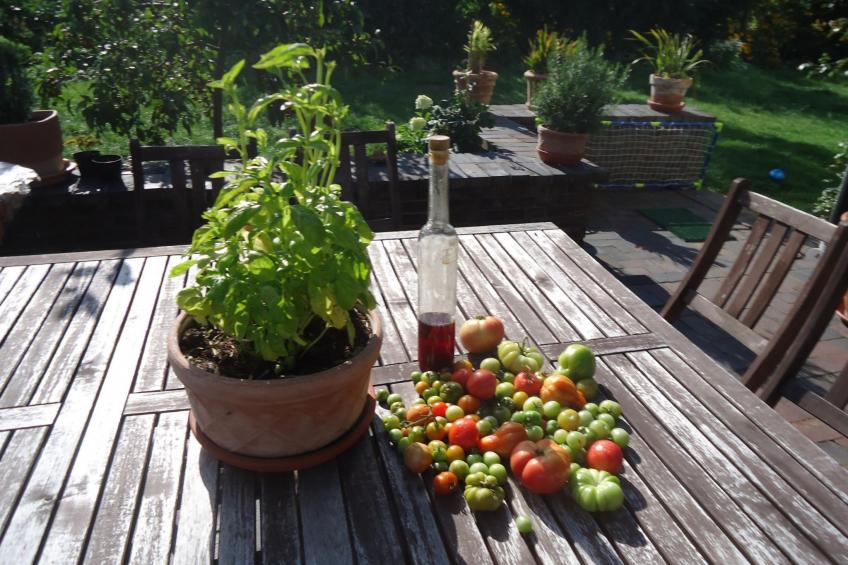 in ruhiger Lage am Waldrand