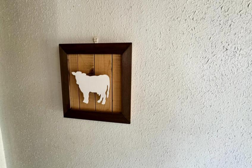 Appartements à Murat Le Quaire - foto 17