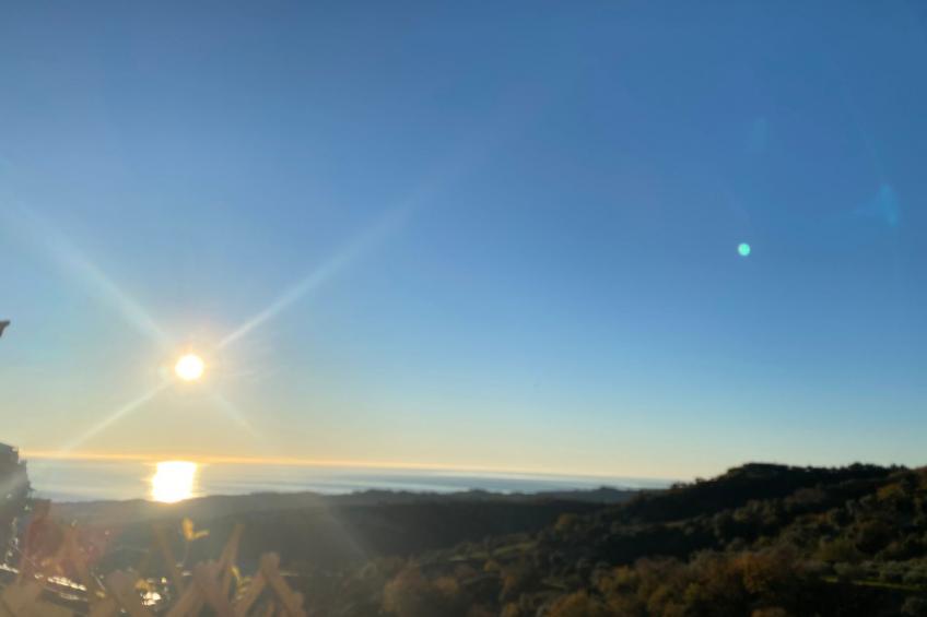 Großes Studio mit Terrasse mit Meerblick - foto 10