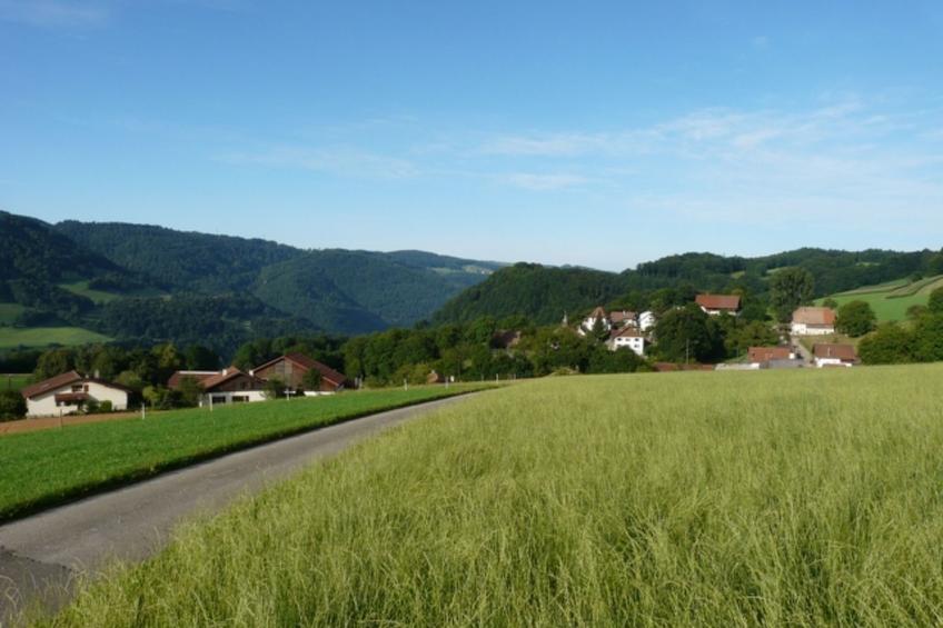 Appartements de vacances - Ma Petite Fontaine, (Seleute), - foto 12