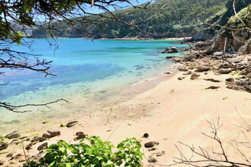 Quinta do Couto - foto 39