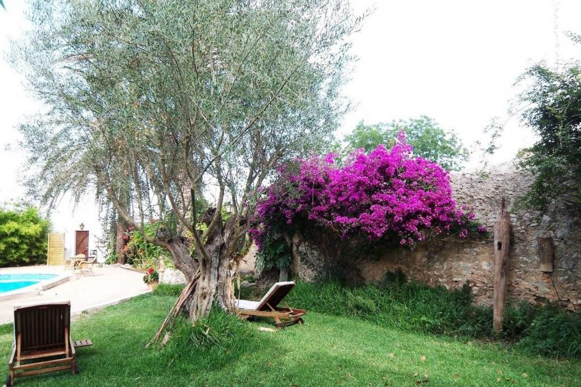 Garten Appartment - foto 43