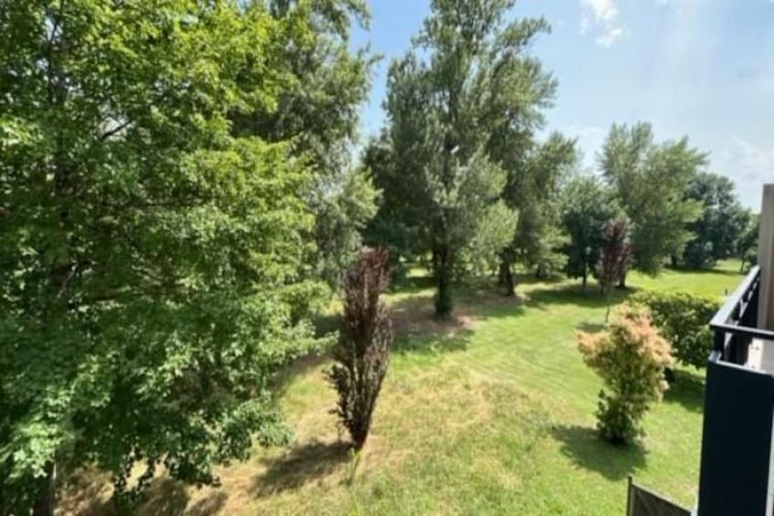 Adonis Divonne-les-Bains T2 Park side - foto 26