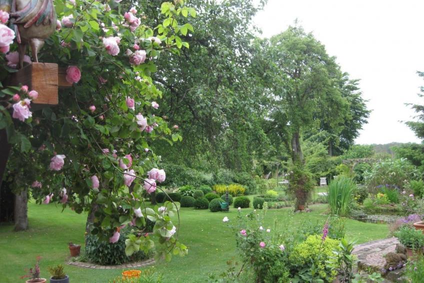 in ehemaliger Dorfschule am Dorfrand - foto 17