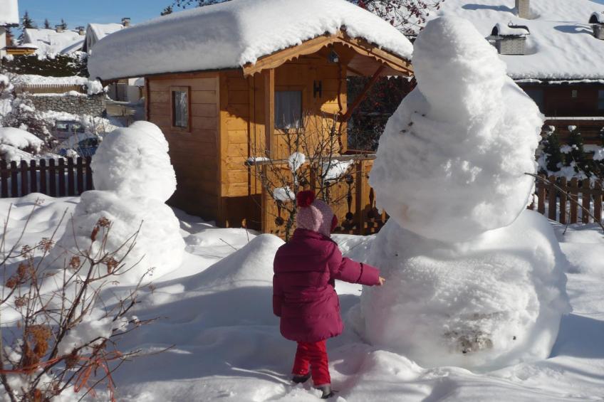 Haus Adler - foto 31