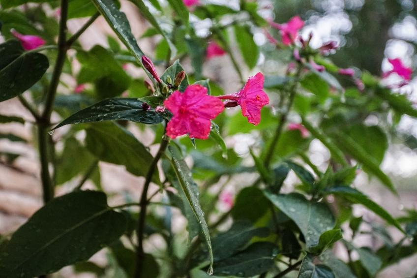 Tranquil Getaway with Shared Pool in Bale - One Bedroom Apartment - foto 17