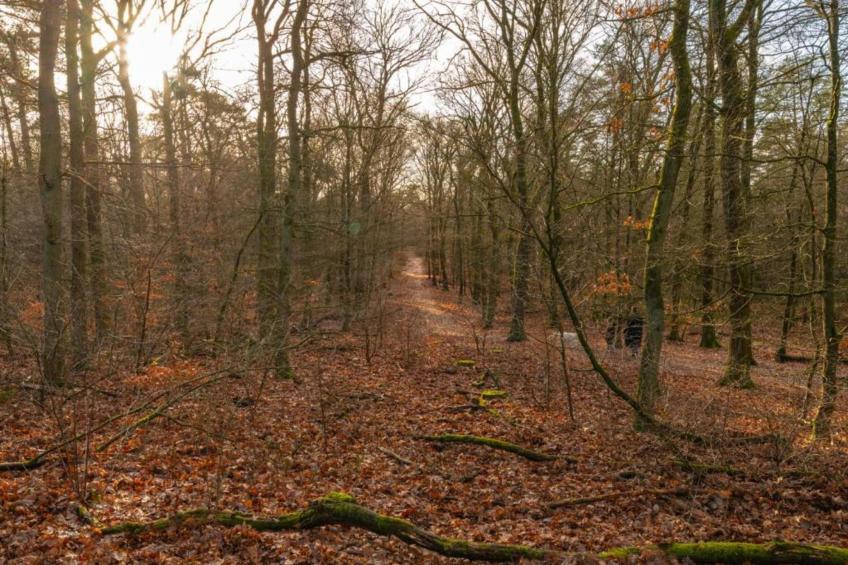 Bungalowpark Hoenderloo - foto 35