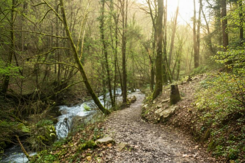 Lac Bleu nr 18 - foto 16